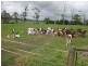 156 Champions Road, Scotchtown TAS 7330