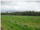156 Champions Road, Scotchtown TAS 7330