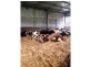 156 Champions Road, Scotchtown TAS 7330