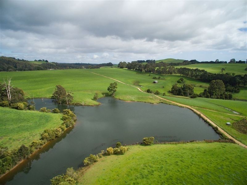 RA 913 Mount Hicks Road, Mount Hicks TAS 7325