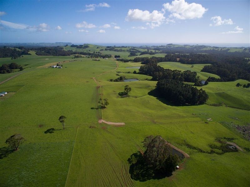 RA 913 Mount Hicks Road, Mount Hicks TAS 7325