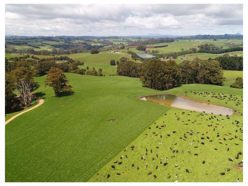 RA 913 Mount Hicks Road, Mount Hicks TAS 7325