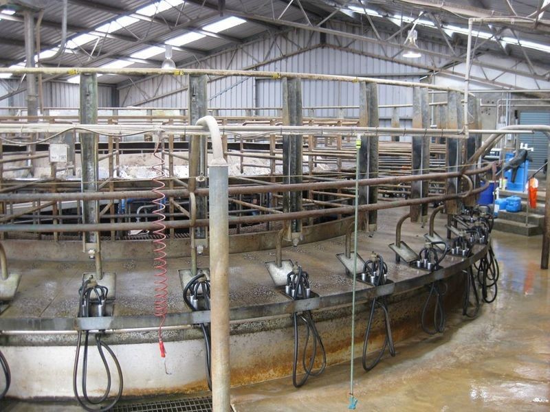 RA 913 Mount Hicks Road, Mount Hicks TAS 7325