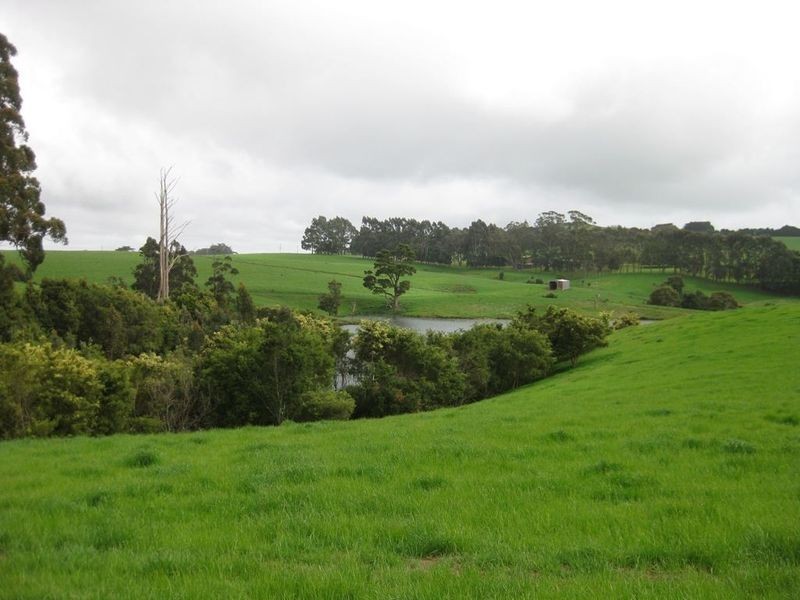 RA 913 Mount Hicks Road, Mount Hicks TAS 7325