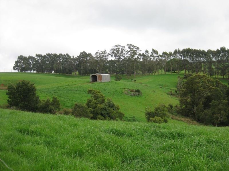 RA 913 Mount Hicks Road, Mount Hicks TAS 7325