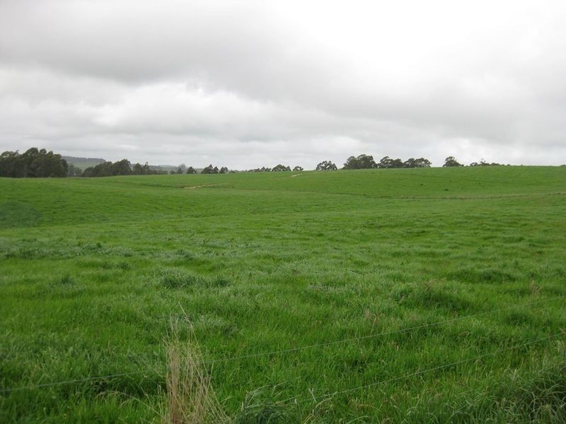 RA 913 Mount Hicks Road, Mount Hicks TAS 7325