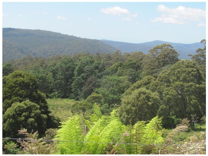 . Tasman Highway, Pyengana TAS 7216