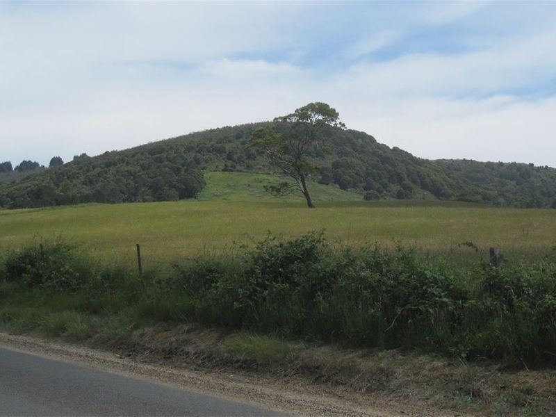 . Tasman Highway, Pyengana TAS 7216
