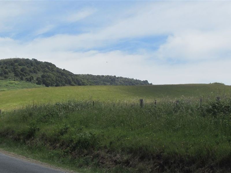 . Tasman Highway, Pyengana TAS 7216