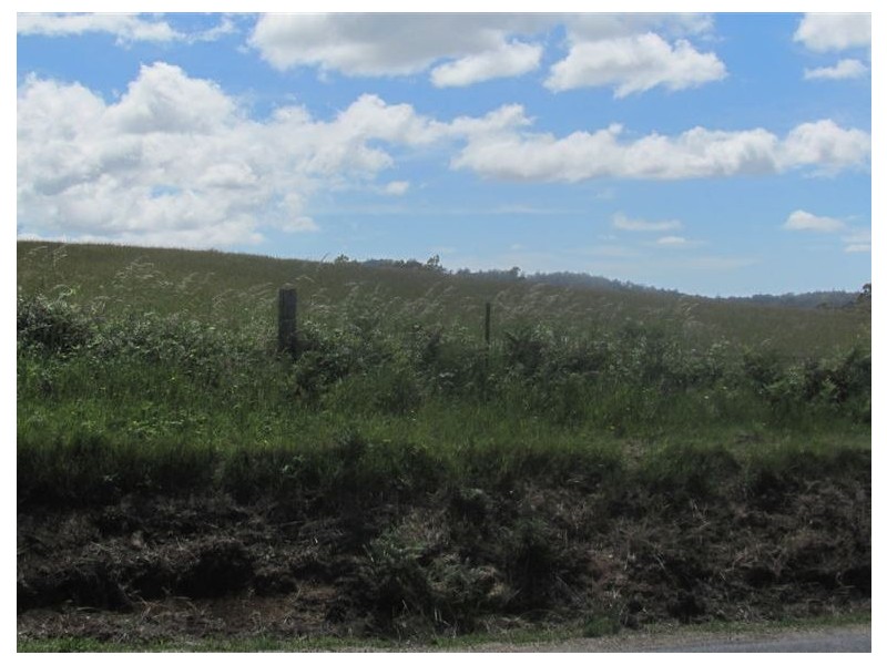 . Tasman Highway, Pyengana TAS 7216