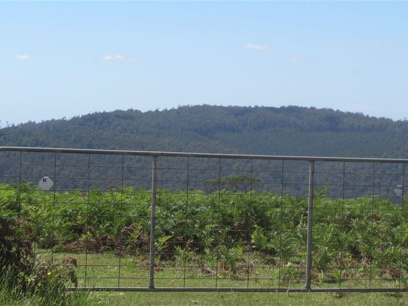 . Tasman Highway, Pyengana TAS 7216