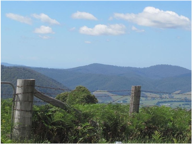 . Tasman Highway, Pyengana TAS 7216