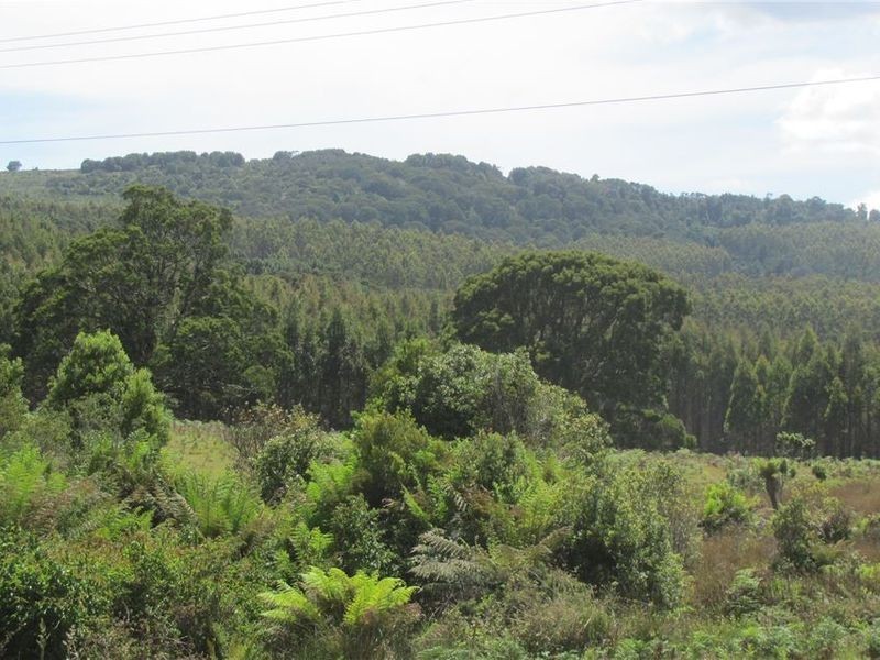 . Tasman Highway, Pyengana TAS 7216