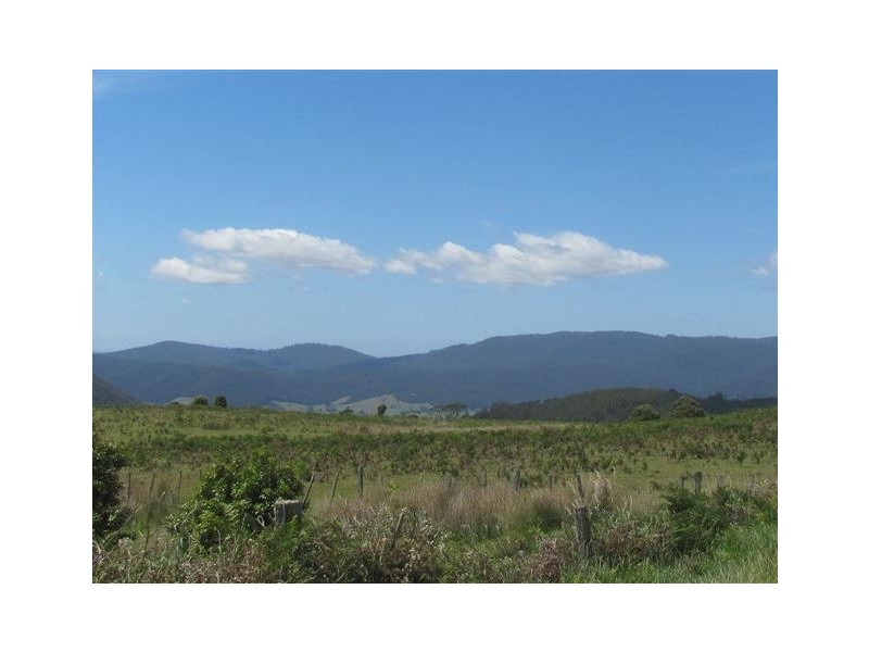 . Tasman Highway, Pyengana TAS 7216