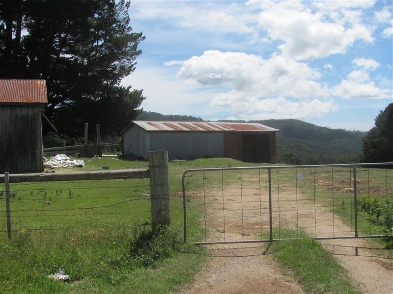 . Tasman Highway, Pyengana TAS 7216