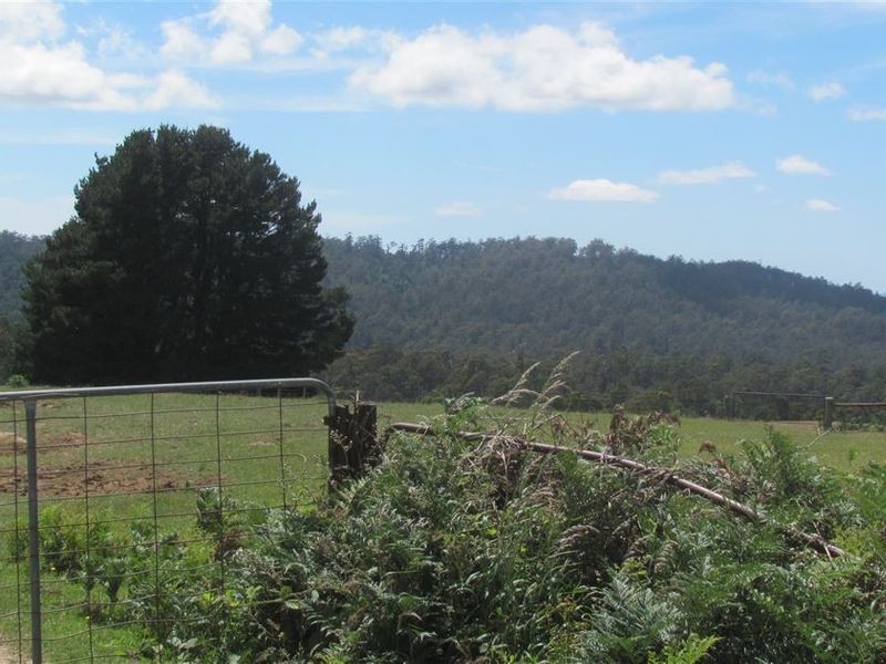 . Tasman Highway, Pyengana TAS 7216