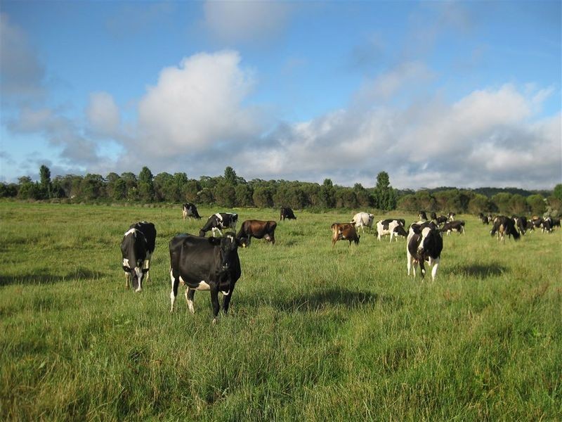 59 Partridge Road, Togari TAS 7330