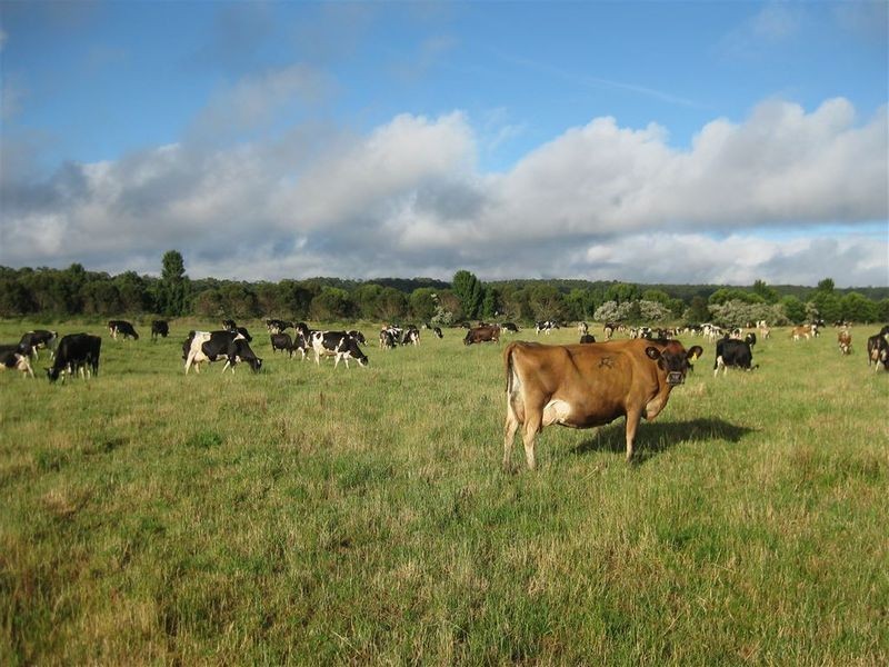 59 Partridge Road, Togari TAS 7330