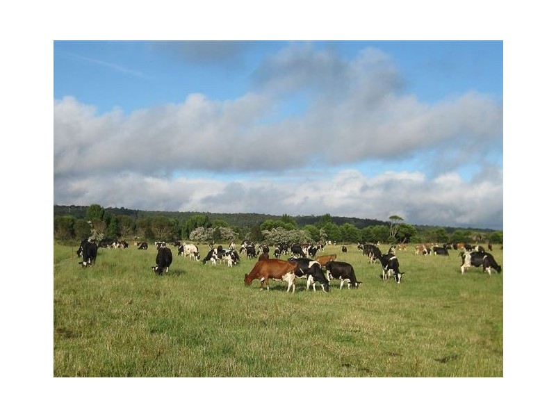 59 Partridge Road, Togari TAS 7330