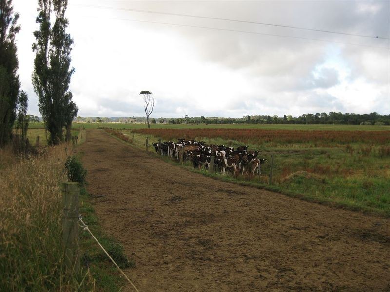 59 Partridge Road, Togari TAS 7330