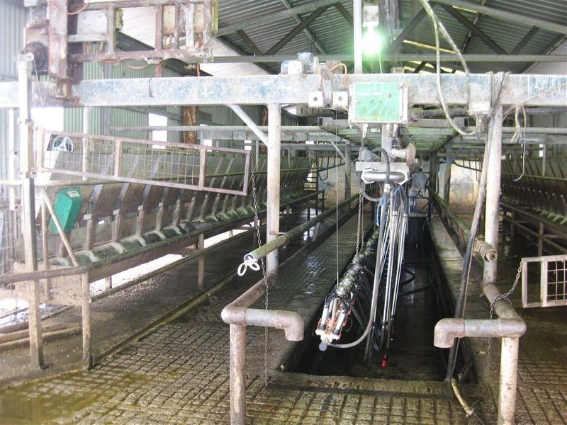 59 Partridge Road, Togari TAS 7330