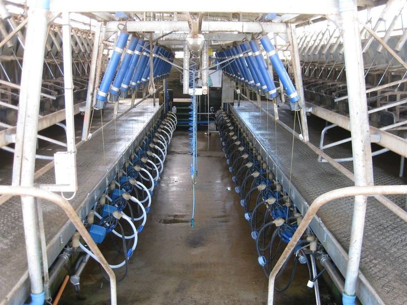 80 Jocks Road, Forest TAS 7330