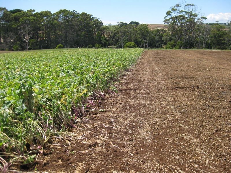 80 Jocks Road, Forest TAS 7330