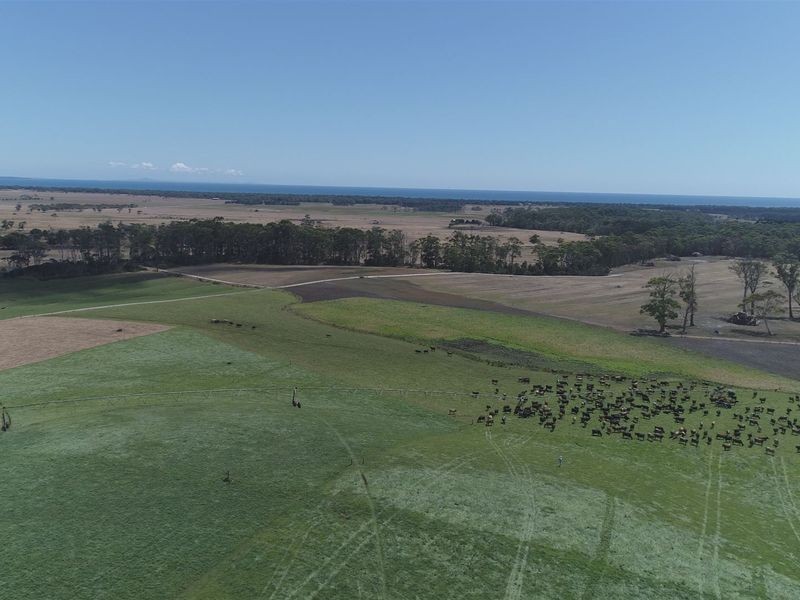 80 Jocks Road, Forest TAS 7330