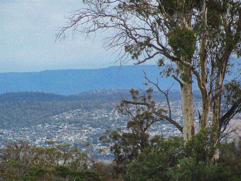 276 Lilydale Road, Rocherlea TAS 7248