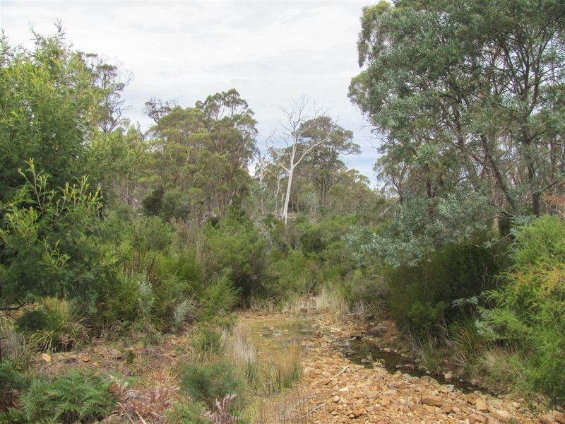 276 Lilydale Road, Rocherlea TAS 7248