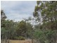 276 Lilydale Road, Rocherlea TAS 7248