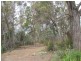 276 Lilydale Road, Rocherlea TAS 7248