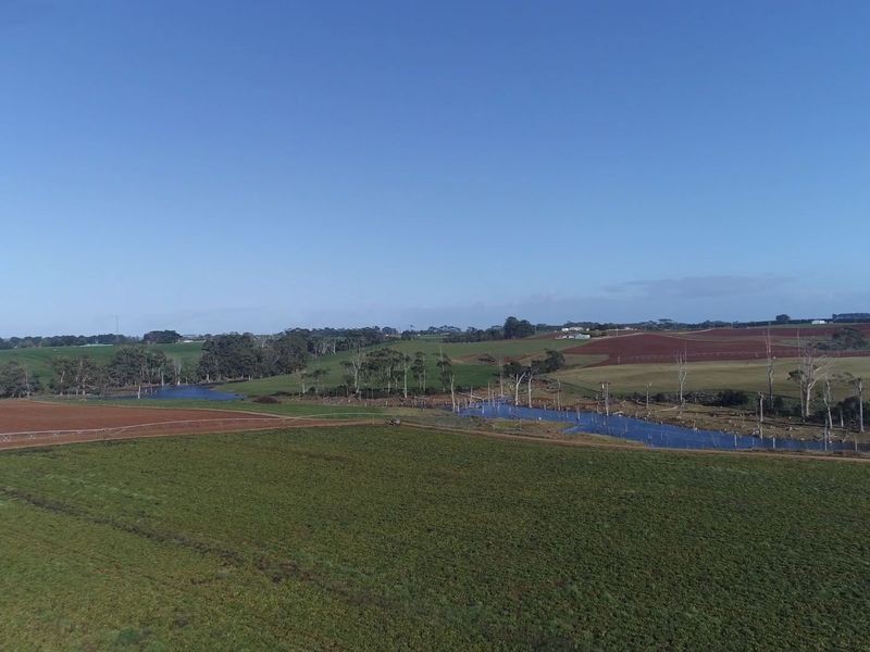 209 Mengha Road, Forest TAS 7330