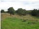 60 O’Neills Road, Trowutta TAS 7330
