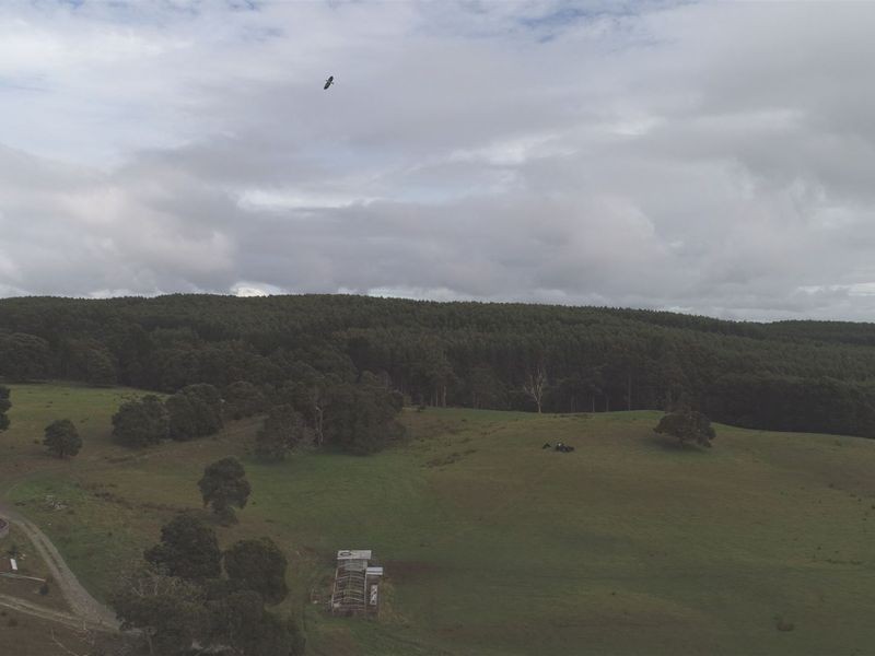 60 O’Neills Road, Trowutta TAS 7330