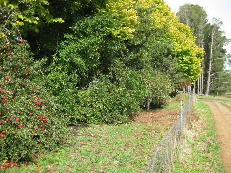 60 O’Neills Road, Trowutta TAS 7330