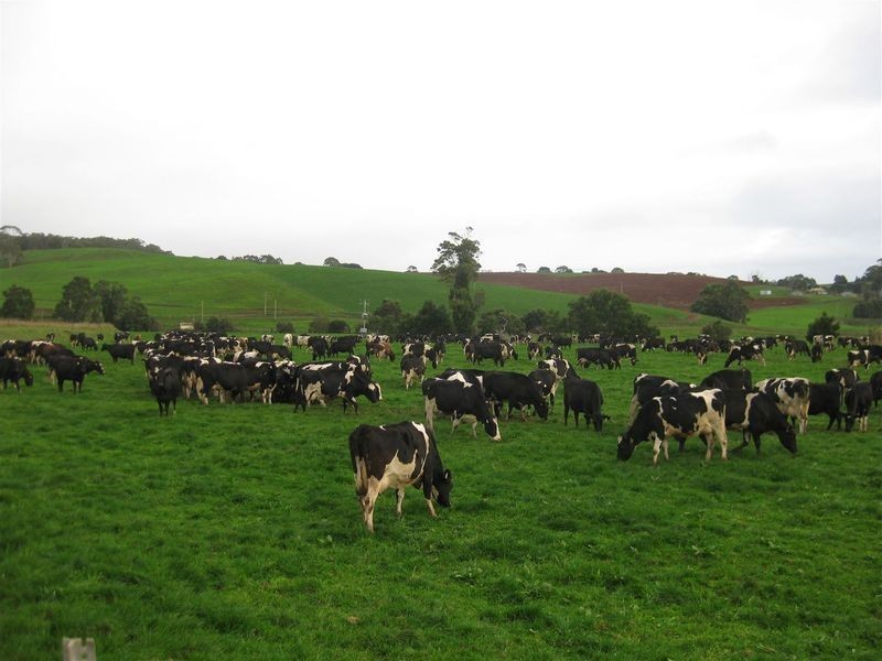 136 Robin Hill Road, Flowerdale TAS 7325