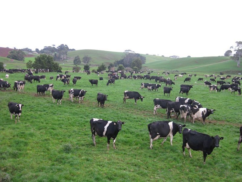 136 Robin Hill Road, Flowerdale TAS 7325