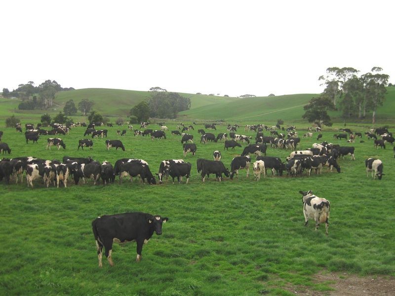 136 Robin Hill Road, Flowerdale TAS 7325