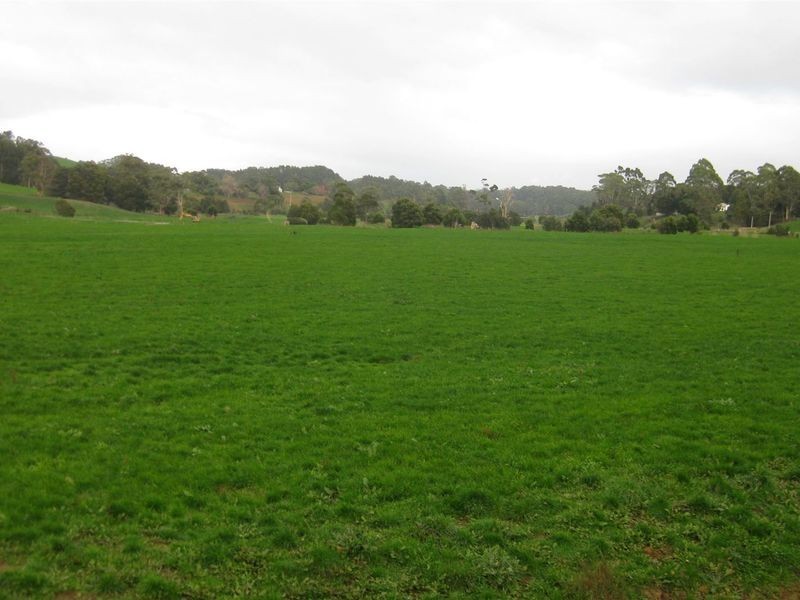 136 Robin Hill Road, Flowerdale TAS 7325