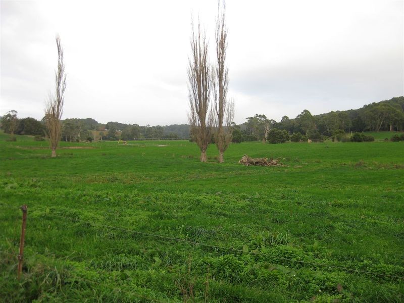 136 Robin Hill Road, Flowerdale TAS 7325