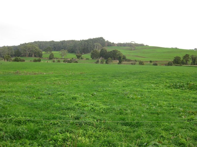 136 Robin Hill Road, Flowerdale TAS 7325