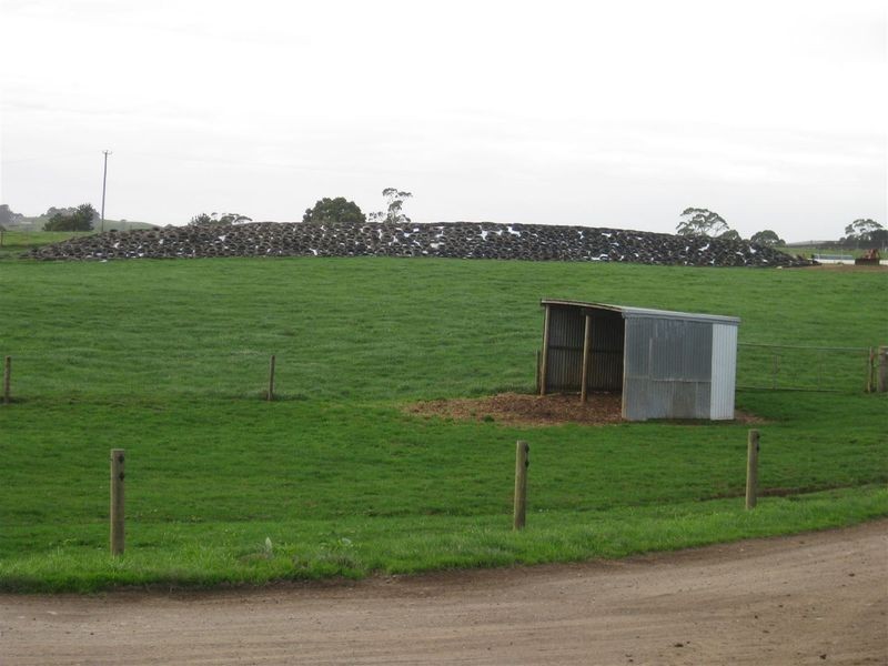 136 Robin Hill Road, Flowerdale TAS 7325