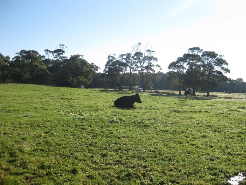 1013 Backline Road, Forest TAS 7330