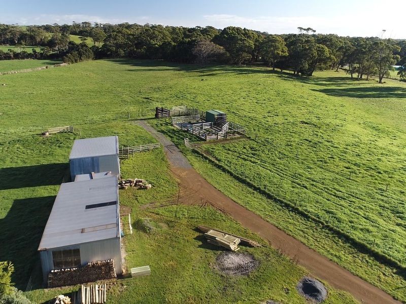 1013 Backline Road, Forest TAS 7330