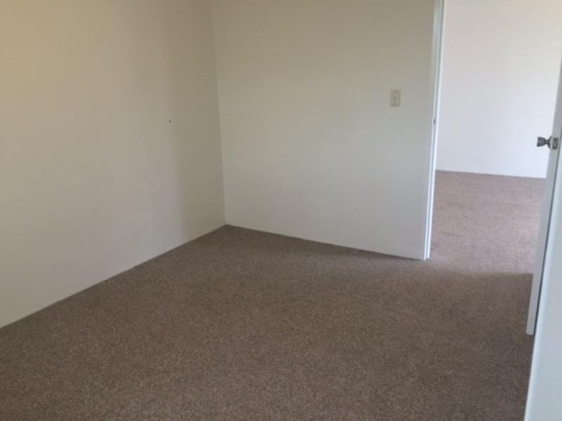 16/15 DARLEY STREET, Newtown NSW 2042