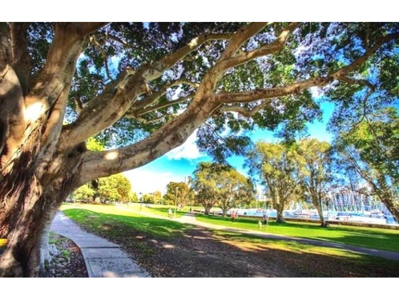 14/2 KURRAGHEIN AVENUE, Rushcutters Bay NSW 2011