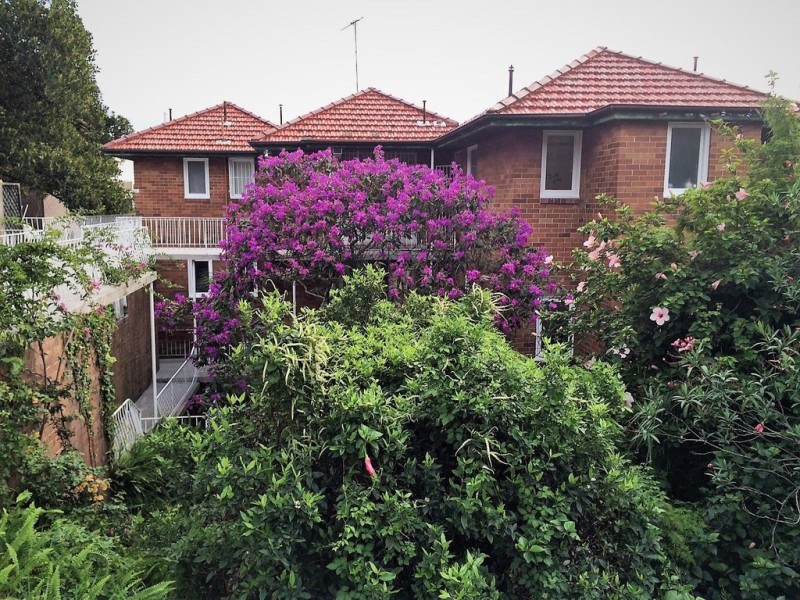 4/2 Daintrey Crescent, Randwick NSW 2031