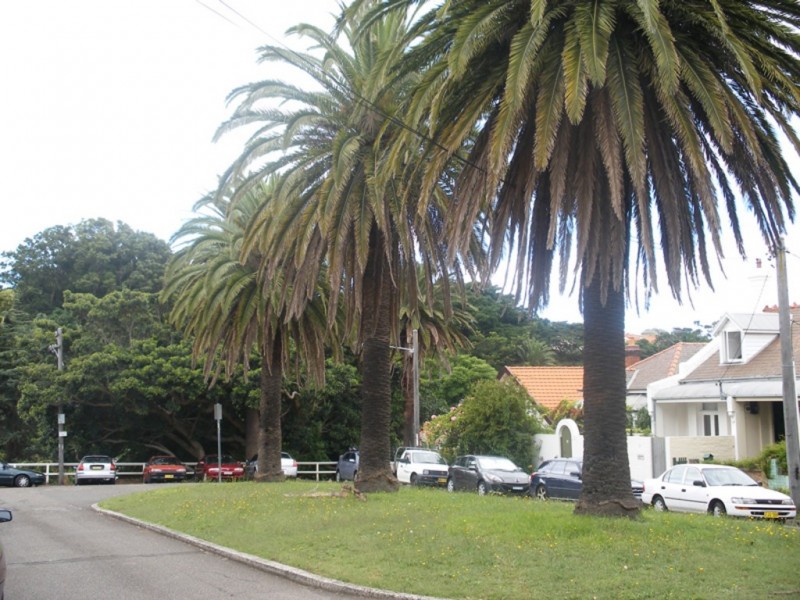 39 BLENHEIM STREET, Queens Park NSW 2022