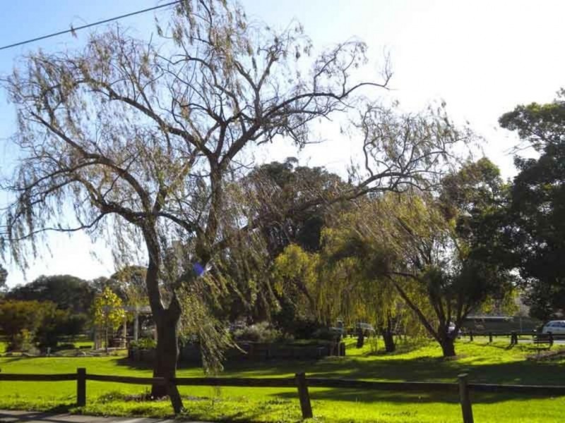 70 JUBILEE AVENUE, Beverley Park NSW 2217